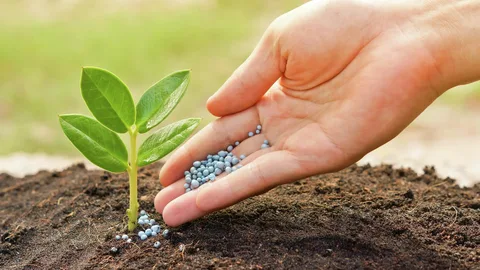 تصویر 2 از قیمت خرید  کودهای نانو ارگانیک کشاورزی + فروش ویژه